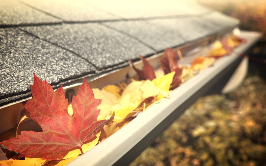 Gutter Cleaning Paducah KY