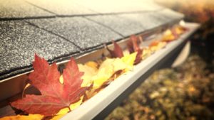 Gutter Cleaning Paducah KY