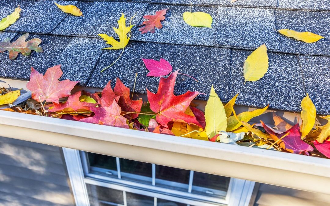 Time To Prepare Your Gutters For Fall