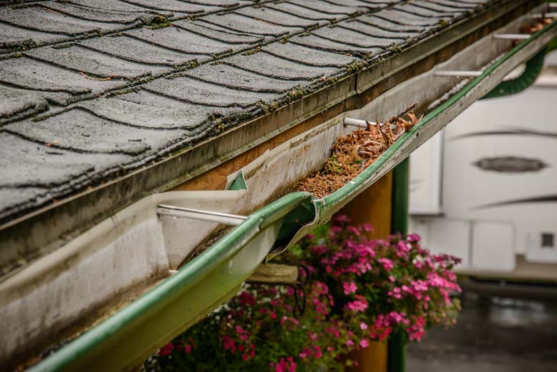What Could Happen If You Don’t Clean Your Gutters