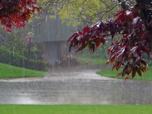 Gutter Cleaning Paducah