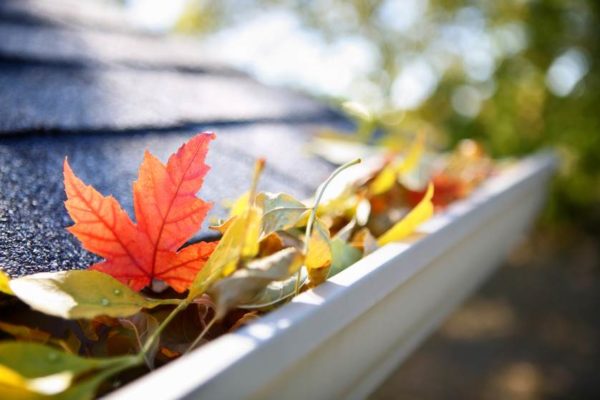 Fall Gutter Cleaning Paducah