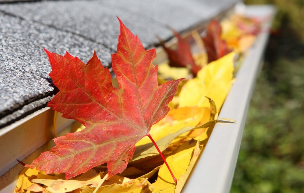 Fall Gutter Cleaning Paducah KY