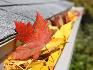 Fall Gutter Cleaning Paducah KY