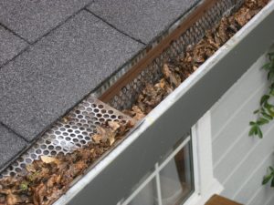 Gutter Cleaning Paducah Western Kentucky