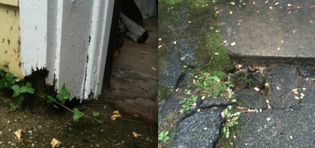 Damaged water gutters