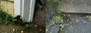 Damaged water gutters