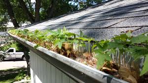 Signs Your Gutters Need Gutter Guards