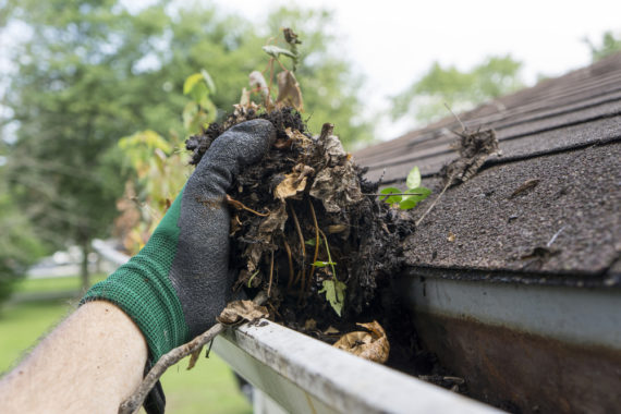 Gutter Cleaning Paducah Gutter Boyz KY