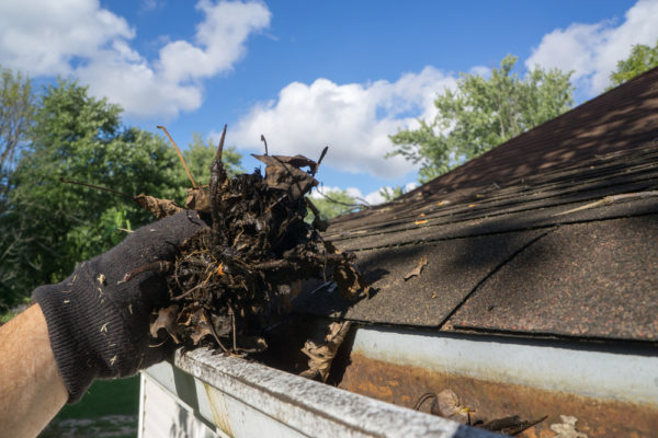 Consider This Before Cleaning Your Own Gutters