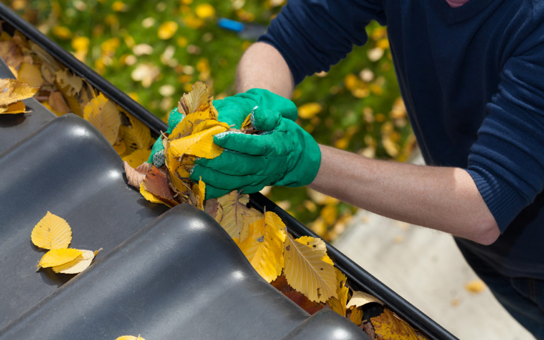 Gutter cleaning -Gutter Boyz of KY