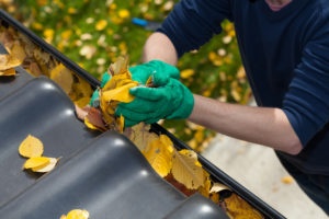 Gutter cleaning -Gutter Boyz of KY