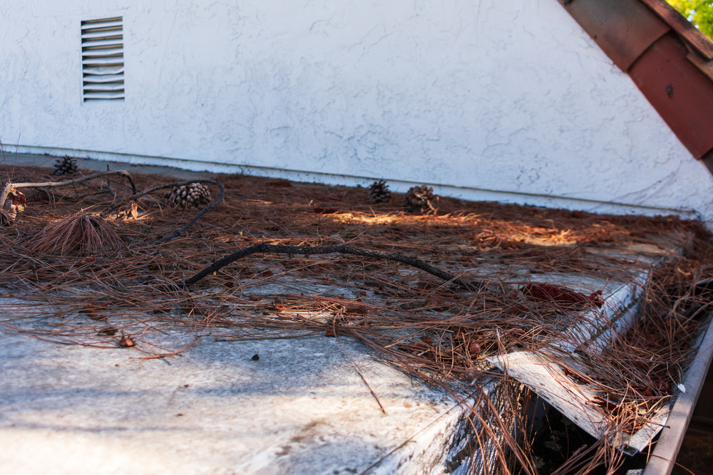 Four Ways Clogged Gutters Will Destroy Your Home