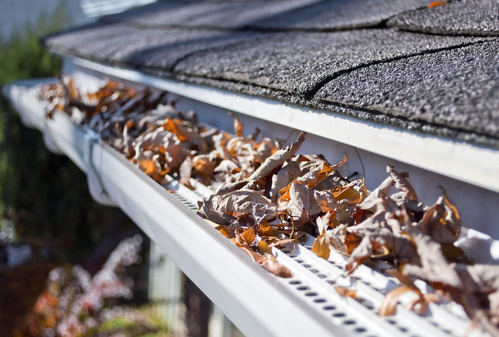 Do I Need Gutter Guards?