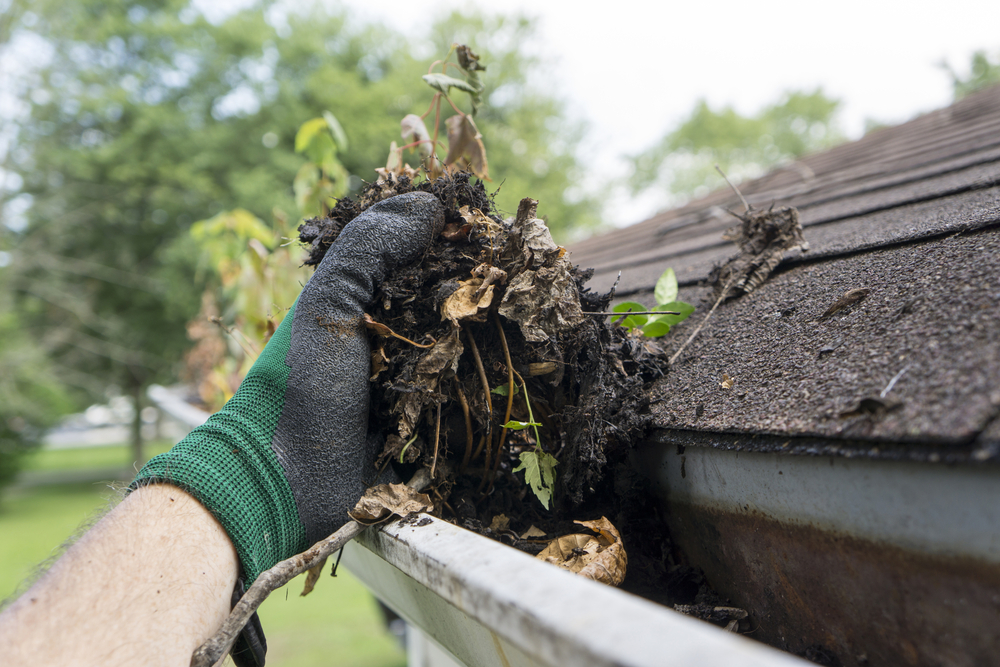 Gutter Cleaning – An Important Part Of Home Maintenance