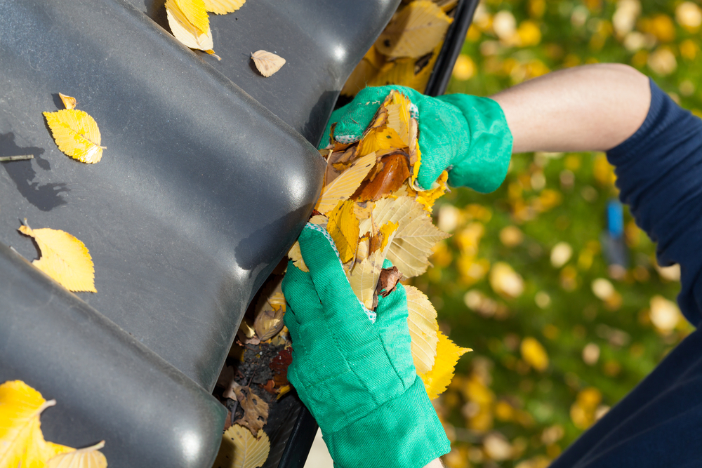 Leaves Are Falling – Are Your Gutters Ready