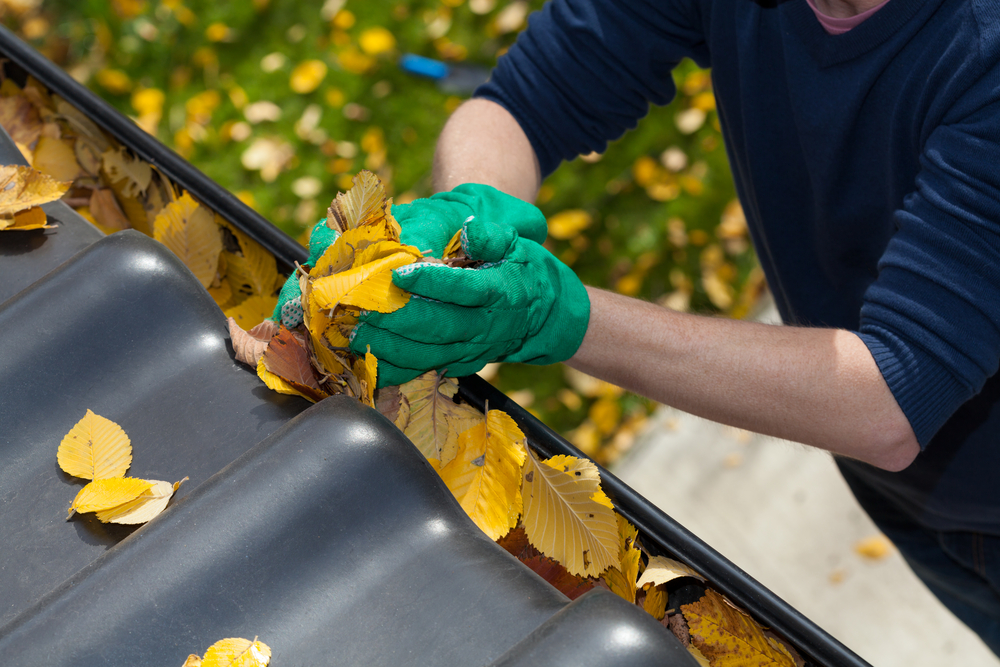 Why Clean Your Gutters In Early Autumn