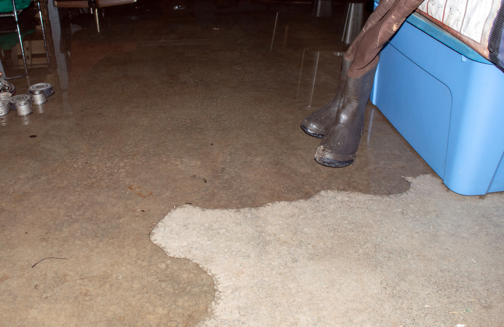 Protect Your Basement From Flooding