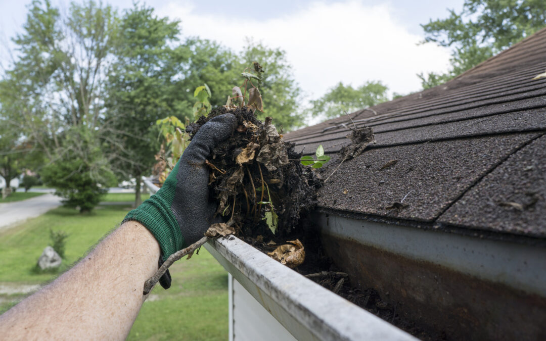 Are Your Gutters Ready For Spring?