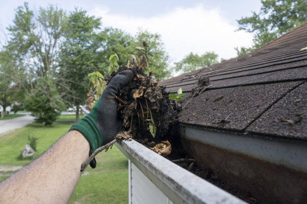 Are Your Gutters Ready For Spring? Gutter Boyz of Kentucky
