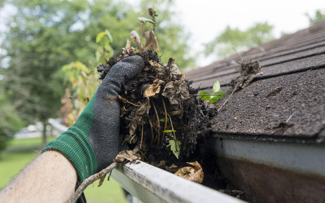 Four Reasons To Have Gutter Boyz Install Gutter Guards On Your Home