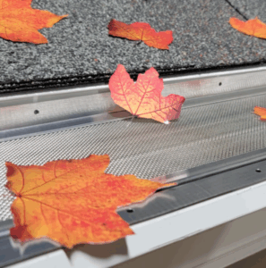 Dynamic Flo Dynamic Flow