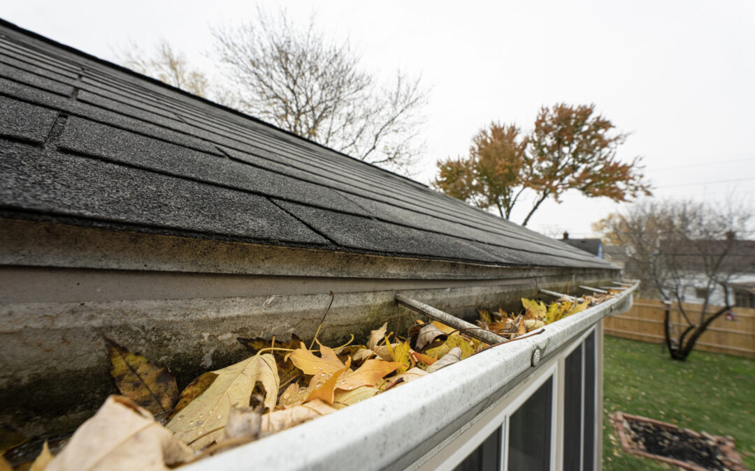 Top 5 Signs Your Gutters Need Professional Attention