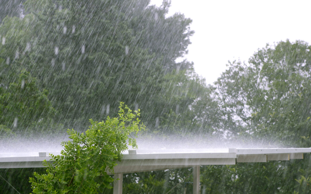 After Heavy Rain and Wind, Don’t Forget to Check Your Gutters